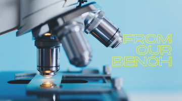Polyclonal, Hybridoma, and Recombinant Antibodies: How should you choose the right one for your research?