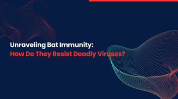 How Do Bats Resist Deadly Viruses?