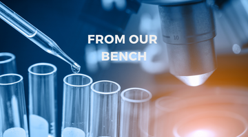 From our bench