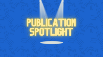 Exploring the Function of Progenitor Cells in TMJ Disc Development and Injury: Insights from a Single-Cell Atlas Study