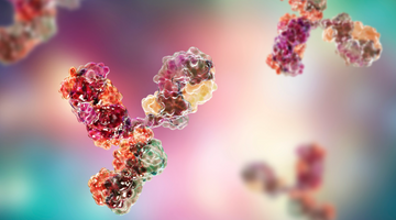 A Brief History of Antibodies