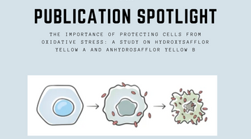 The Importance of Protecting Cells from Oxidative Stress: A Study on Hydroxysafflor Yellow A and Anhydrosafflor Yellow B