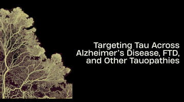 Tau in Alzheimer’s Disease, FTD, and Other Tauopathies