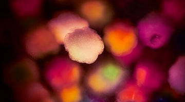 Breakthrough Discovery of a New T-Cell Lineage