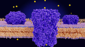 Nanobodies in the News