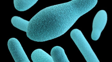 Nanobodies in the News