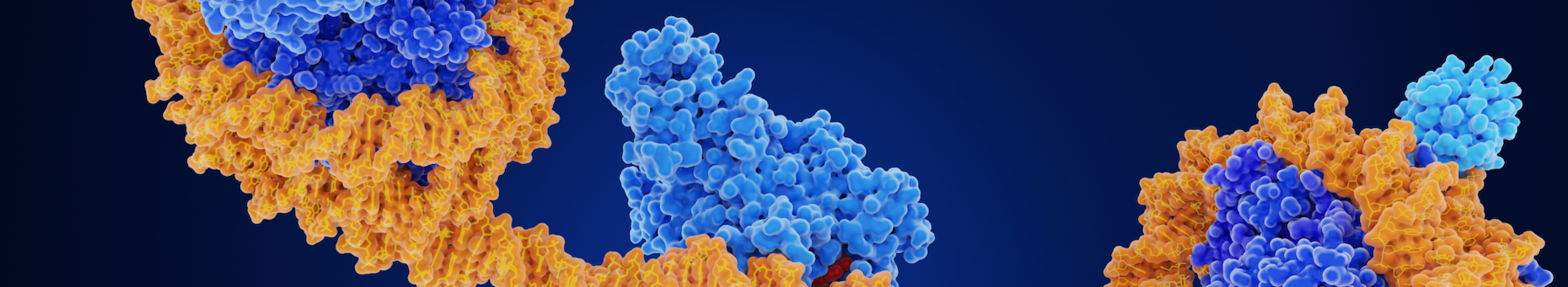antibody